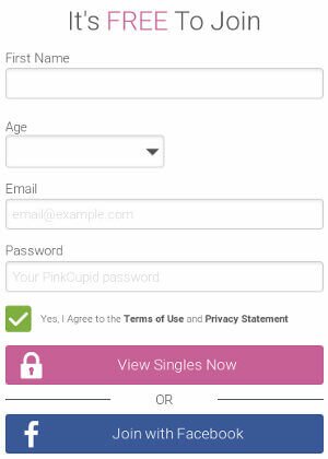 Registration on PinkCupid.com, subscription choice and prices